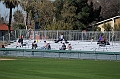 SU_2011-01-27 (99)